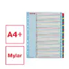 ESSELTE Index 1–31 Re-writable Mylar A4+ Photo 2
