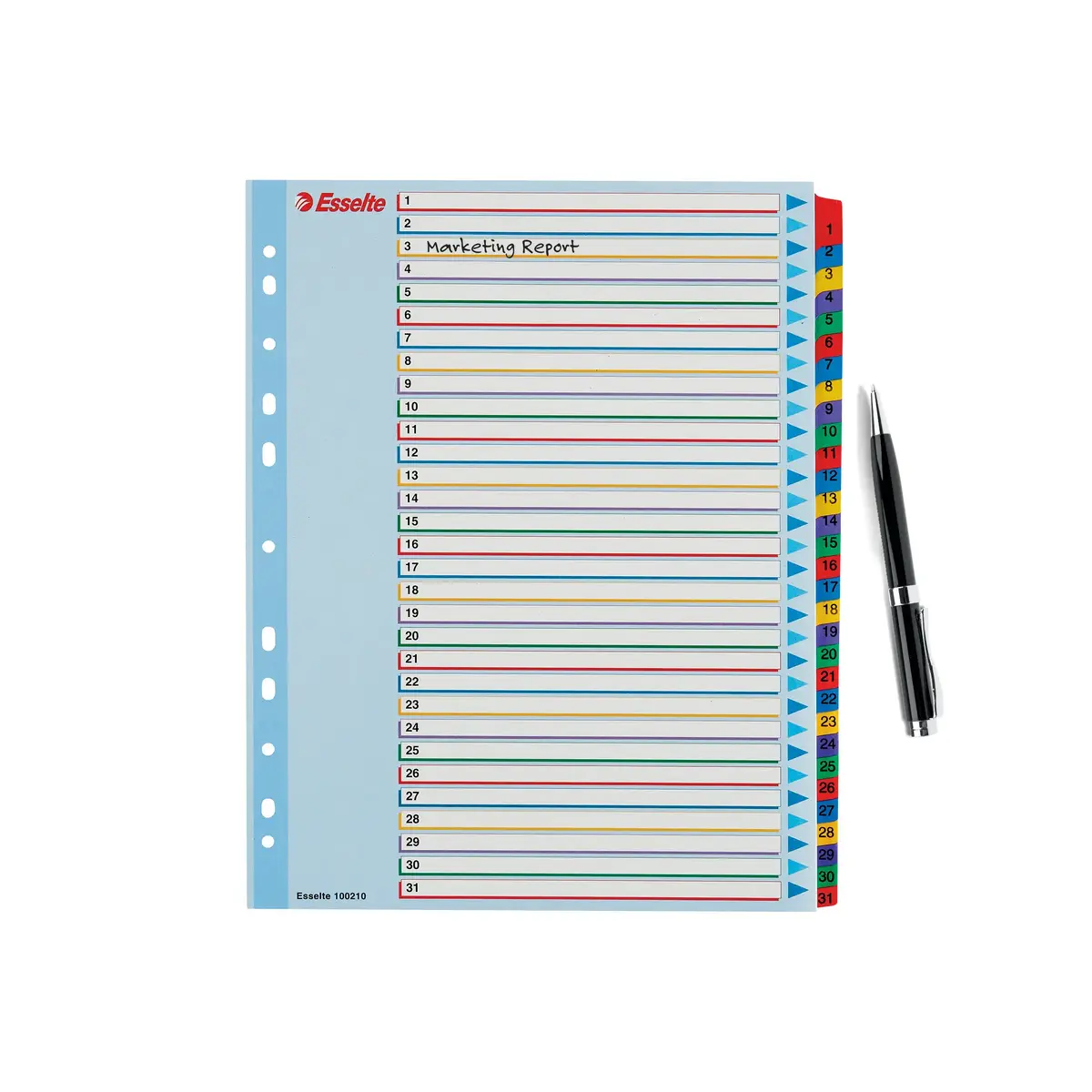 ESSELTE Index 1–31 Re-writable Mylar A4+ Photo 4