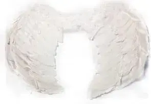 Costume wings Adar Skrzydła anioła duże by Adar — large angel wings, fabric accessory