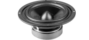 Car Speaker Dibeisi 5" DBS-G5001 8 Ohm — 5-inch 8Ω automotive audio driver
