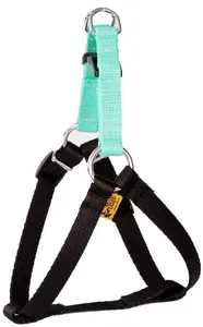 Dog Harness DINGO FRED adjustable tape ENERGY mint size 50
