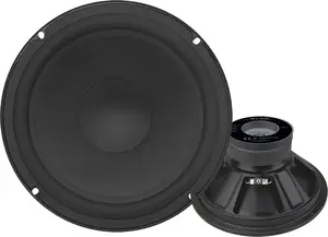 Subwoofer BLOW GDN25 universal 8 Ω 300W - car low-frequency speaker