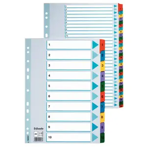 Разделитель-картон ESSELTE Carton Index A4 225x297 мм, корешок 4 мм, 1 шт