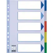 Divider PP A4 5 Tabs ESSELTE — PVC multicolour, 225 x 279 mm, blank tab index