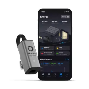 Energy Dongle No name Homey Energy Dongle (MPN HOMEY-ENERGY-DONGLE-P1-01)