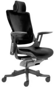 Office chair Usorteret Canadian Ergo Eco 1 — ergonomic desk chair, swivel, adjustable height