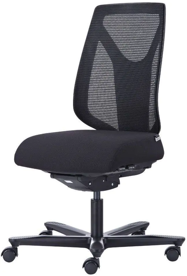 Biroja krēsls Usorteret Canadian Ergo Comfort
