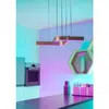 Потолочный светильник EGLO FOLCINO-Z LED F Photo 7
