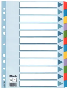 Divider cardboard with Mylar reinforced tabs ESSELTE A4 12 tabs, carton, multicolour, 297×225 mm