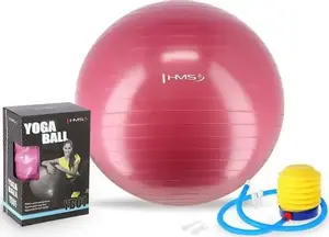 Exercise Ball HMS YB01 65 cm — pink, anti-burst stability ball for fitness and physiotherapy