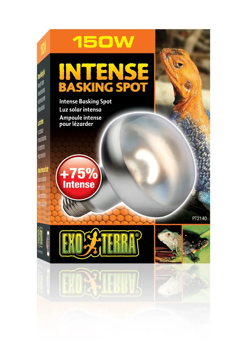 Hagen Exo Terra PT2140 reptile heat lamp 150 W Photo 3