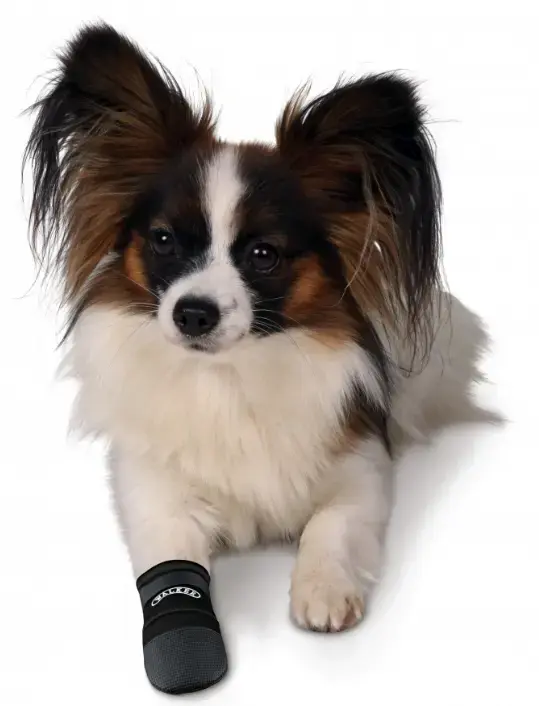 Trixie Walker Care Protective Boots size M Photo 4