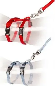 Cat harness Duvo+ for kittens red/blue adjustable 15–25 cm neck, 8 mm width, 125 cm lead
