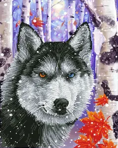 Diamond Dotz komplekts Dimanta gleznošana Forest Wolf, drukāta auduma 401×500 mm, kastē
