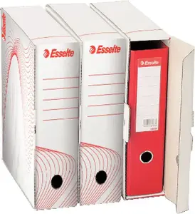 Ring Binder ESSELTE 10024 white — archival folder for documents, A4, 2/4 rings (model 10024)