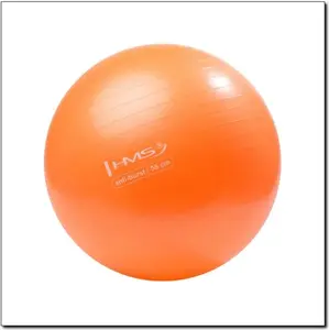 Exercise Stability Ball HMS Anti-Burst 55 cm, orange (YB02)