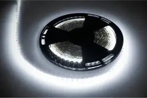 LED strip Rebel Light Rebel 25 m, 6500 K — continuous LED tape for illumination