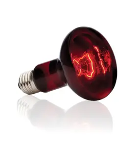 Reptile heat lamp Hagen Exo Terra PT2144 — 100 W, 1500 K, 1 pc