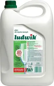Tīrīšanas šķidrums Ludwik CH-nakluplmi5000x001 Piparmētru — 5 l