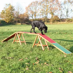 Dogwalk agility obstacle Trixie TRIXIE Fun Agility Dogwalk TX-32090 for dogs