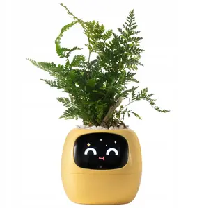 Potted artificial ivy plant PlantsIO IVY Żółta by kwiatydonice – model PLANTSIO IVY YEL