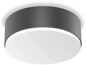 LED luminaire Steinel RS PRO A10 NW SC Antracite, 12 W, neutral white