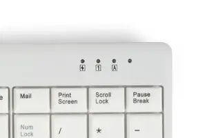 Clear status indicators