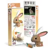 Eugy Rabbit 650071 Photo 5