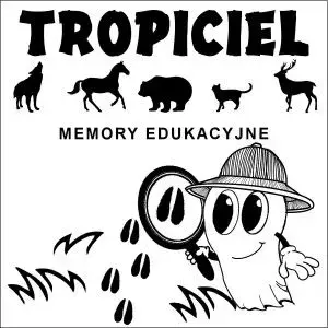 Деревянная обучающая игра «Memory» Buu Polskie – No name, модель CZ13730 (карточки для запоминания)
