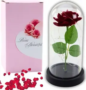 Preserved Rose in Dome with LED Lighting, Lean model 21330, Red, 21×11 cm