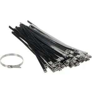 Metal cable tie Dymo SSCT-250X7.9, stainless steel, 250 x 7.9 mm, pack of 100