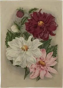 Virtuves dvielis Skona Ting Dalia — violets, kokvilnas maisījums, standarta izmērs