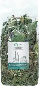 Tivo broadleaf peat moss mix TIVO BABKA SZEROKOLISTNA 100G 6006