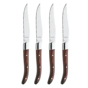 Amefa 252000WLL5BR4 kitchen cutlery/knife set 4 pc(s)