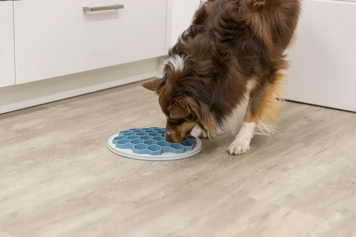 TRIXIE 25039 dog/cat bowl 25039 Photo 7