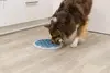 TRIXIE 25039 dog/cat bowl 25039 Photo 7