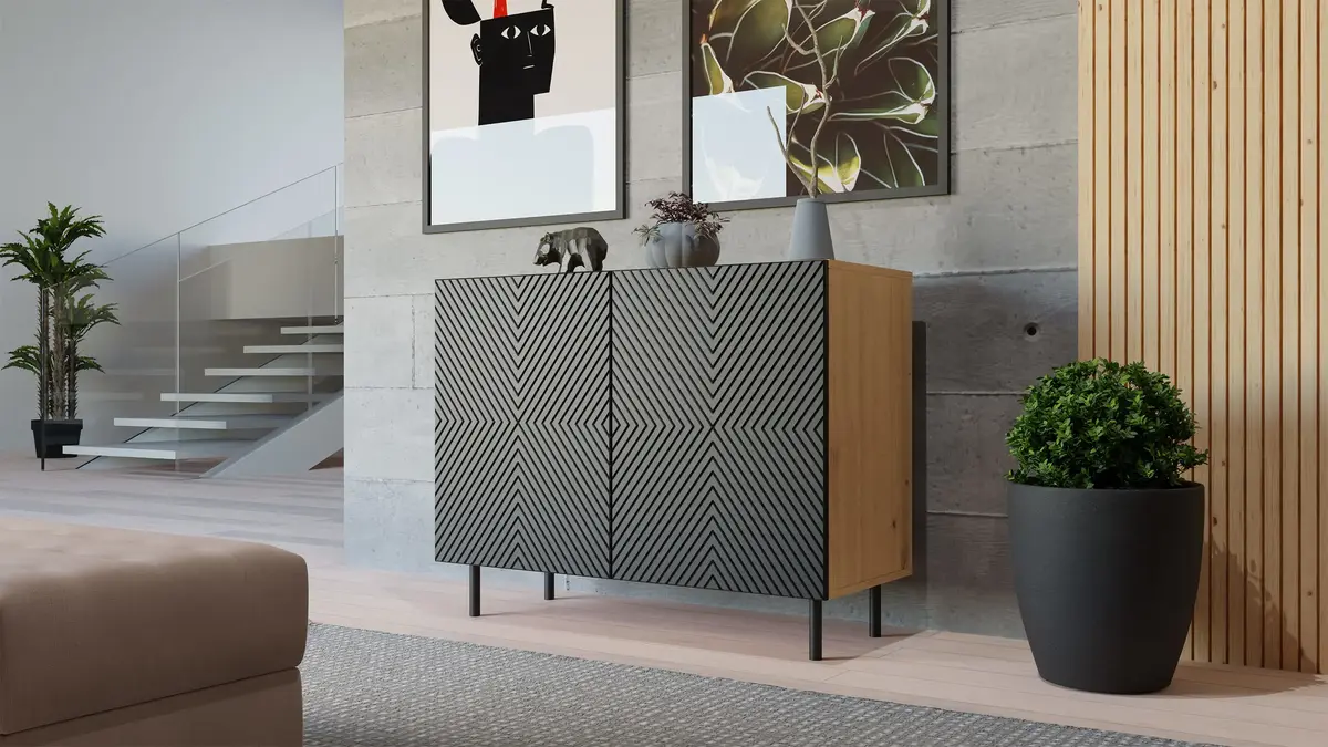 Topeshop KAMA 2K ART/CZ KPL living room storage cabinets KAMA 2K ART/CZ KPL Photo 3