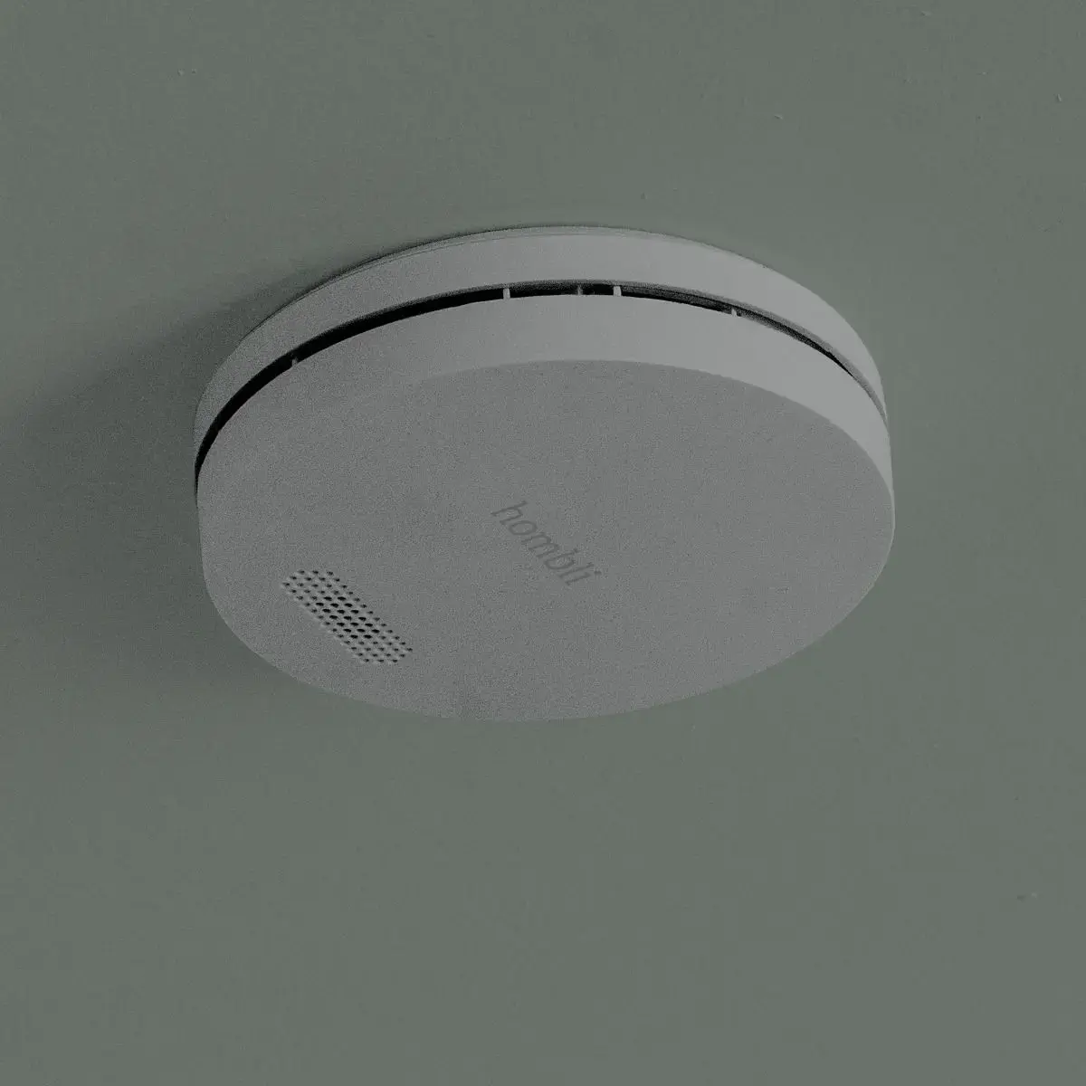 Hombli HBSA-0108 smoke detector HBSA-0108 Photo 2