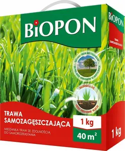Grass Seed Mix BIOPON Biopon Trawa Samozagęszczająca 1 kg – self-thickening lawn seed