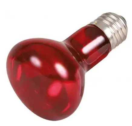 Trixie Infrared Spot Heat Lamp 35W Photo 2