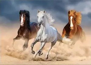 Diamond Painting Kit Norimpex Mozaika 5D – Horses, 40 x 30 cm