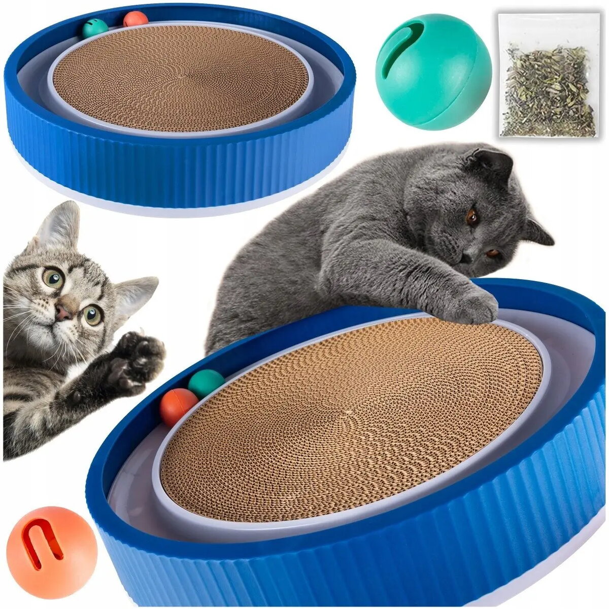 Pet Accessories