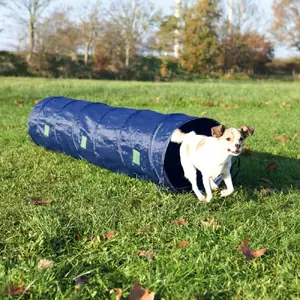 Agility tunnel Trixie 3210 for dogs and cats, blue polyester, Ø40 cm × 200 cm