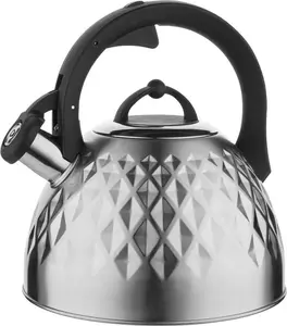 Stainless steel kettle Florina Fenny Satin 2.5 L for induction and gas