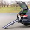 Trixie 39476 kāpnes/ramps mājdzīvniekiem, 390 mm Photo 3