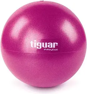 Exercise ball Tiguar Easyball 25 cm — plum-colored small fitness ball