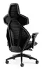 noblechairs DAWN PC gaming chair Photo 3