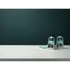 Krāsnīšu tīrītājs Electrolux M3SCS301 500 ml Photo 2