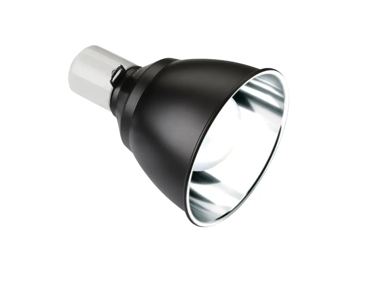 Siltuma lampa rāpuļiem Exo Terra PT2055 75 W Photo 2