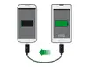 Кабель USB 2.0 Sonstige DeLOCK 83570 USB B–USB B 0,3 м Photo 2